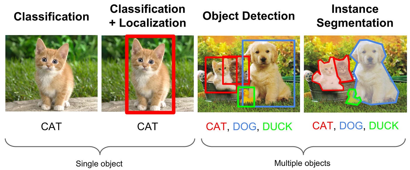 Object Detection Project Preview